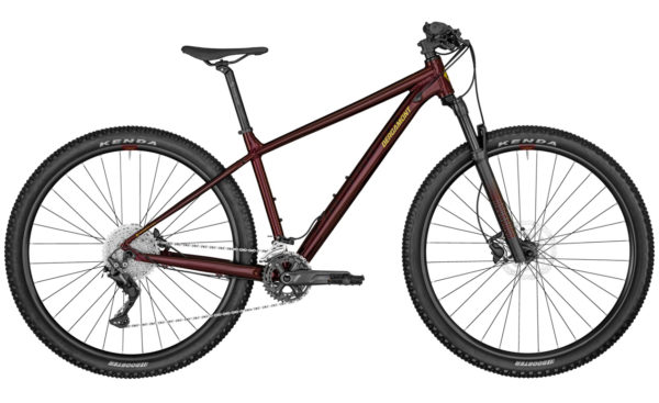 Bergamont Revox 7