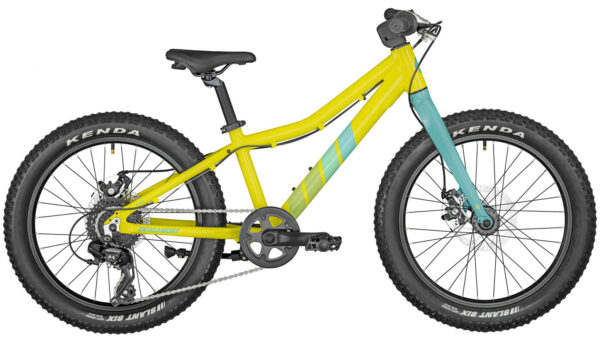 Bergamont Bergamonster 20 Plus